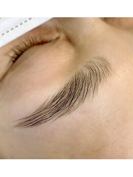 ヴォーグ(Vogue)/ハリウッドブロウリフト/HBL/柏