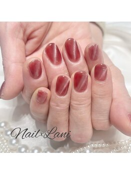 ネイルクロスラニ 練馬店(Nail Lani)/粒子の細かいマグネットネイル