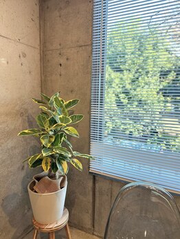 アム バイ オーキッド 代々木公園(UM by ORCHID)/待合もゆったり◎