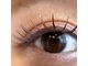 コマツアイラッシュ(komatsu eyelash)の写真