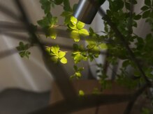 ユレル(YurerU)/優しくそっと寄り添う空間