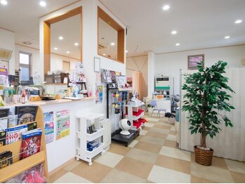 かず整骨院の写真/凄腕手技による全身矯正整体が大人気！痛みや不調の原因を追究し、足元まで丁寧に施術＆根本から改善◎