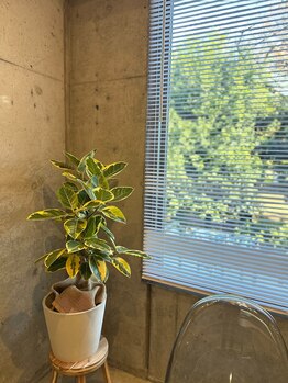 アム バイ オーキッド 代々木公園(UM by ORCHID)/窓からは代々木公園ビュー♪