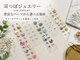 TOTAL SALON belle【トータル サロン ベル 東十条/十条】の写真