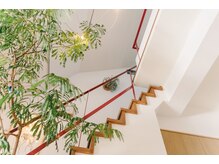 ウェンセン 薬院店(Wensen.)の雰囲気（解放感のある店内）