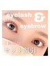 【同時施術】パリジェンヌ+毛流れ矯正（眉毛パーマ）+間引き¥11800→