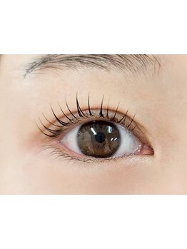 初めての方にオススメ