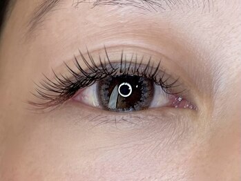 ケイラッシュ(K-LASH)/カラーエクステ×フラットマット