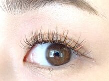 ミニョンアイラッシュデザインサロン くずは店/フラットマットラッシュ　カラー