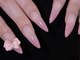 ジェミーネイル エビス(Jemiy nail ebisu)の写真/フォルムやもちの良さにもこだわり、お好みの長さに仕上げます！［恵比寿/長さだし］