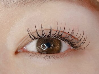 ミアラッシュバイオンフリーク(miiia lash by ON fleek)/フラットラッシュ120本