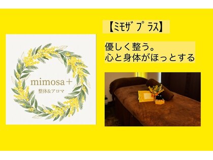 エムプラス(m+)の写真