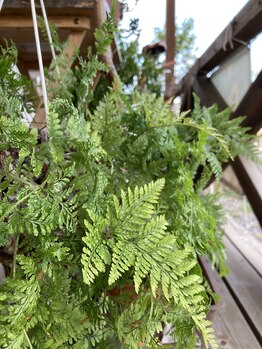 わたなべ整体院/