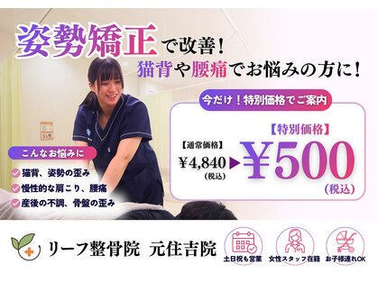 リーフ整骨院 元住吉院の写真