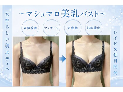 エステティック レイビス 池袋店(RAYVIS)の写真
