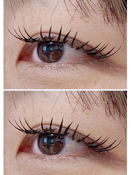 シェアサロン(Share Salon)/フラットラッシュ