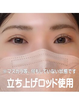 アイラッシュ かすみ草/セラムラッシュリフト