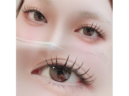 シトロン(Citron)の写真