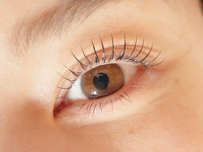 アイラッシュコロール(eyelash Koror)の写真