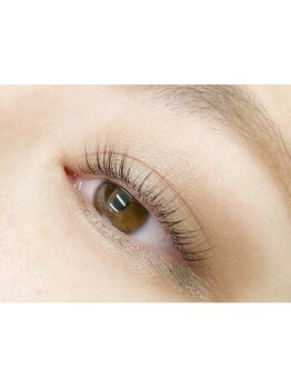 初めての方にオススメ