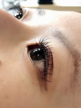 アイラッシュアンドコー(eyelash&co.)/フラットセーブル120本