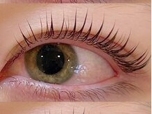 ミュラ 本店(Myrrha)