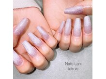 ネイルズ ラニ ル トロワ店(Nails Lani)の雰囲気（スカルプマグネットカラー）