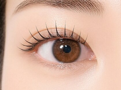 シャローム アローヴ(shalom alob)の写真