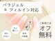 レイウェリナ(Lei Welina)の写真