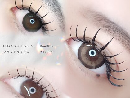 メメ(MEME)の写真