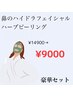 【8月平日限定】鼻ハイドラ+韓国ハーブピーリング￥18900→¥9000