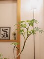 府中やわらぎ整体/山田 悠喜