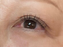 ウルカ アイラッシュ(uruka EYELASH)/フラットラッシュ　80本