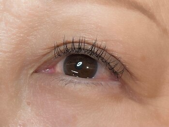 ウルカ アイラッシュ(uruka EYELASH)/フラットラッシュ　80本