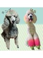 ハチ(HACHI8)&nbsp;はち キング