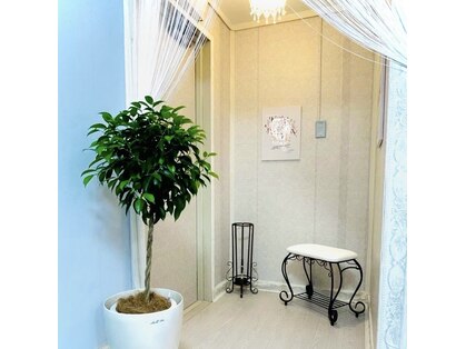 オカオソリ(Okaosori)の写真