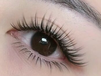 アリータ(ALITA)/ボリューム400本