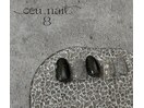 定額one art @ceu_nail.8