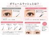 マツエク ボリュームラッシュ[80束]