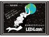 【LEDマツエク】LEDグルーに変更￥1650【LEDiLash】