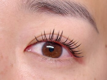 ダズル(DAZZLE)/LED フラットラッシュ　１２０本