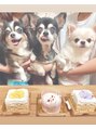 ポーラ ルミナ 四日市店(POLA Lumina) 4匹のチワワたちと楽しく暮らしています♪