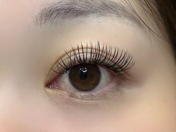 フリー#240(Free#240)/ダブルフラット200本