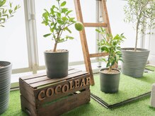 ココリーフ(CocoLeaf)の雰囲気(サロン内庭◇まったりスペース)