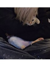 エントップ(EnT/P.) Ryo.