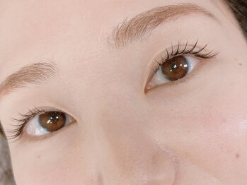 ベルード(veludo)/