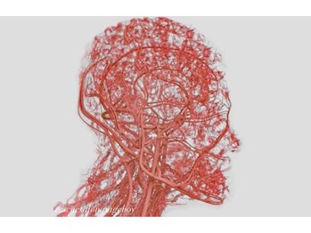 レスキューサロン ページボーイ