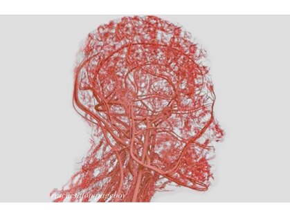 レスキューサロン ページボーイの写真