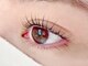 ルミナアイラッシュ(Lumina eyelash)の写真/違和感なく快適な付け心地で自まつげに馴染む自然な仕上がりに♪目元の印象UP&毎日のメイク時短にも◎