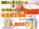 ステラ(STELLA)の写真